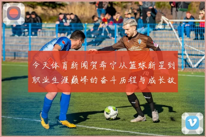 今天体育新闻贺希宁从篮球新星到职业生涯巅峰的奋斗历程与成长故事